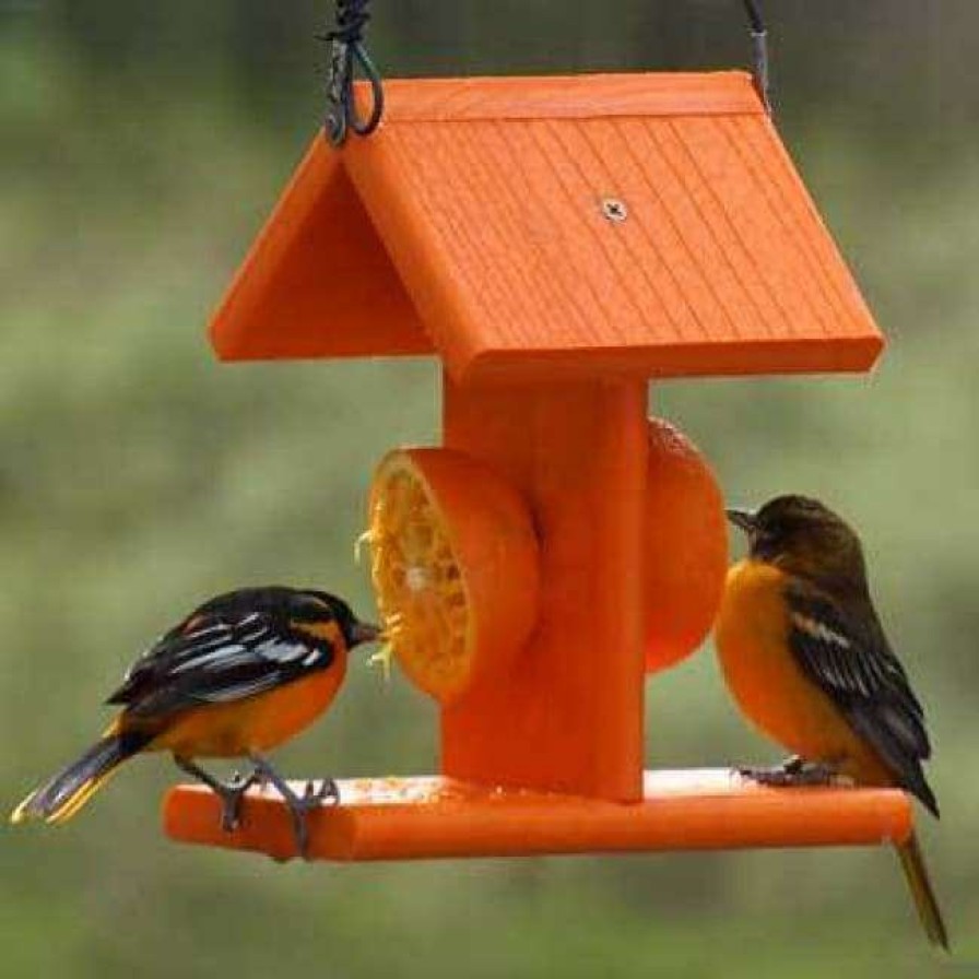 * Woodlink Going Green Recycled Plastic Oriole Fruit Feeder Hanging Feeders | Bird Feeders