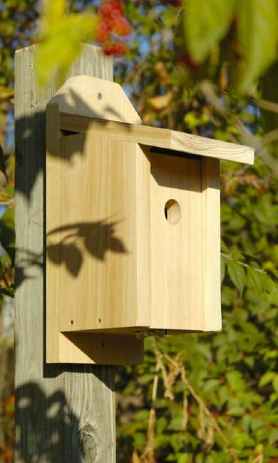 * Heartwood Joy Box Chickadee House | Bird Houses