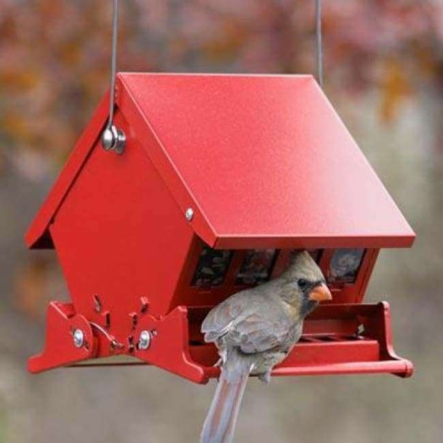 * Heritage Farms Absolute Ii Mini Bird Feeder Hanging Feeders | Bird Feeders