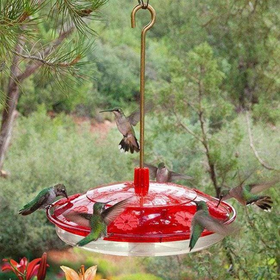 * Droll Yankees Happy Eight-2 Hummingbird Feeder Hummingbird Feeders | Bird Feeders