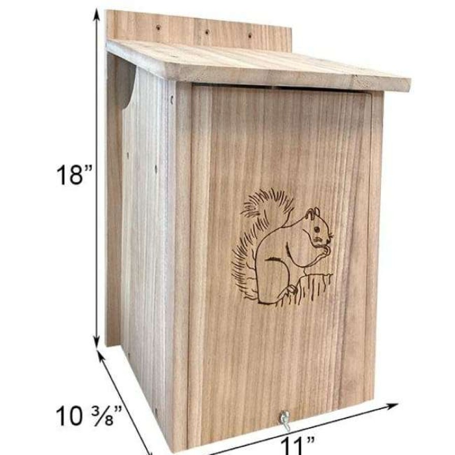 * Prime Retreat Squirrel House Squirrels | Squirrels