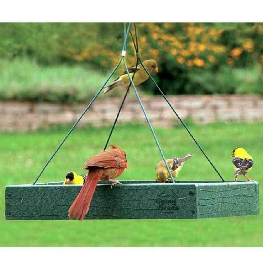 * Woodlink Recycled Plastic Platform Bird Feeder Hanging Feeders | Bird Feeders