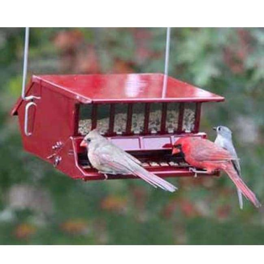 * Heritage Farms Hanging Feeders Bird'S Choice Squirrel Proof Red Bird Feeder | Bird Feeders