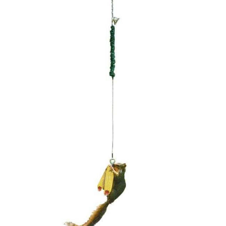 * Songbird Essentials Squngee Deluxe Squirrel Feeder | Squirrels