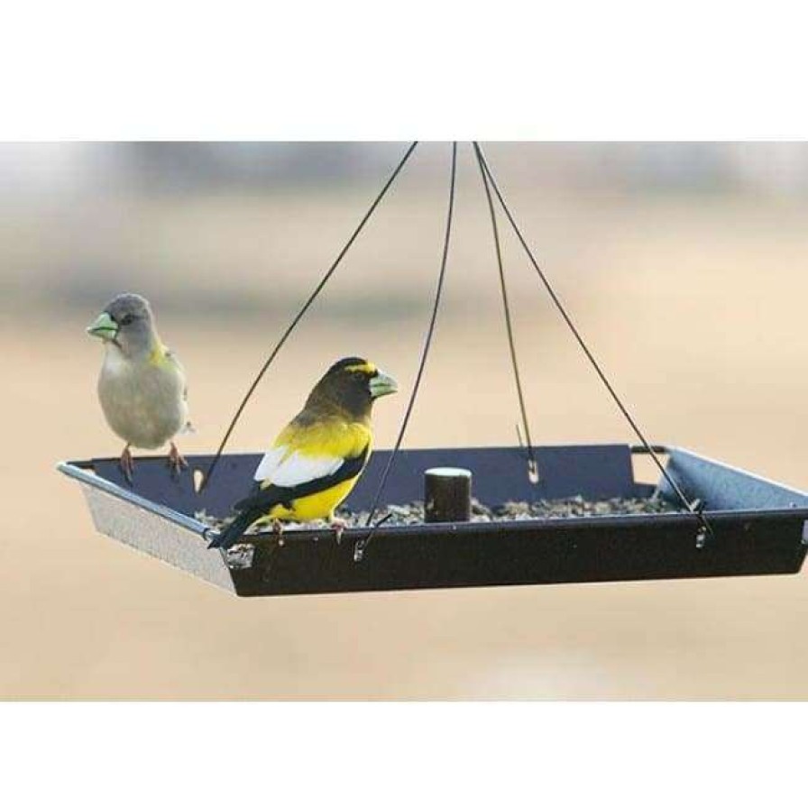 * Stokes Select Hanging Feeders 3In1 Platform Bird Feeder | Bird Feeders