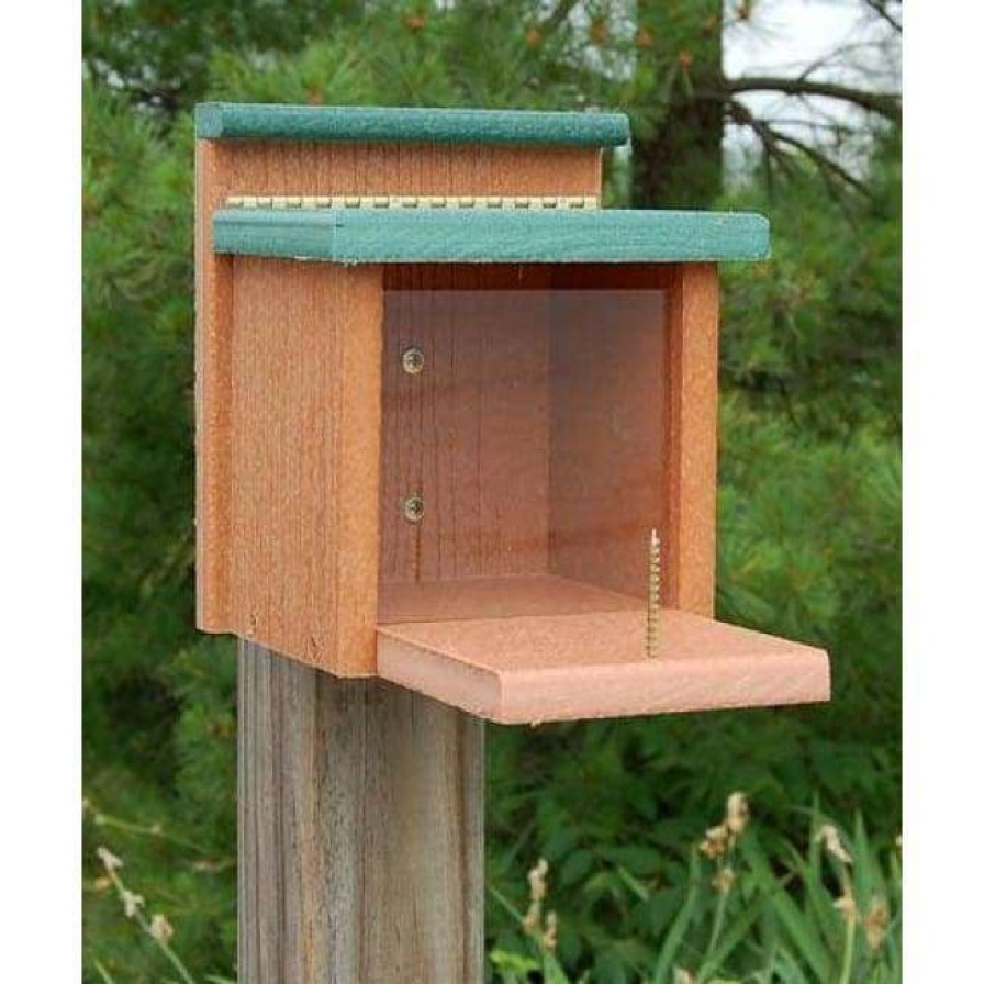 * Woodlink Squirrels Going Green Squirrel Munch Box | Squirrels