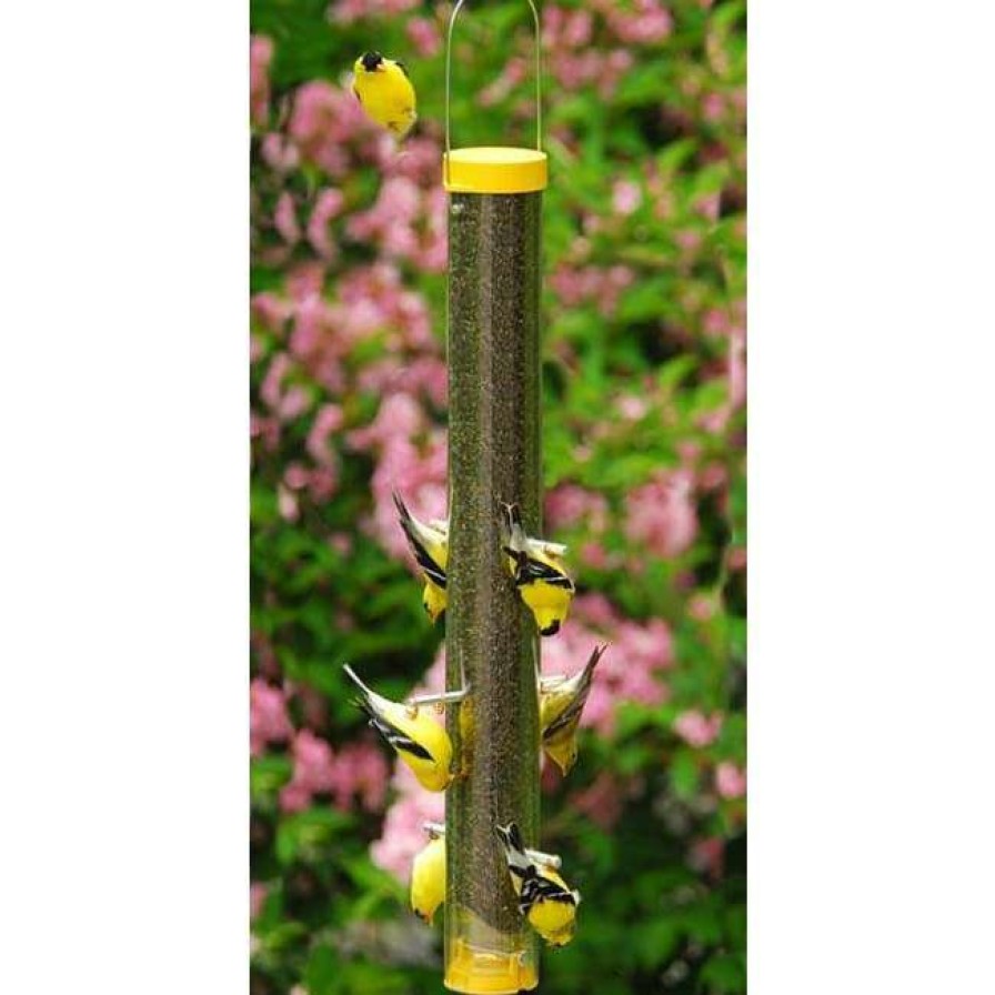 * Hanging Feeders Droll Yankees 16 Upside Down Finch Flocker Feeder | Bird Feeders