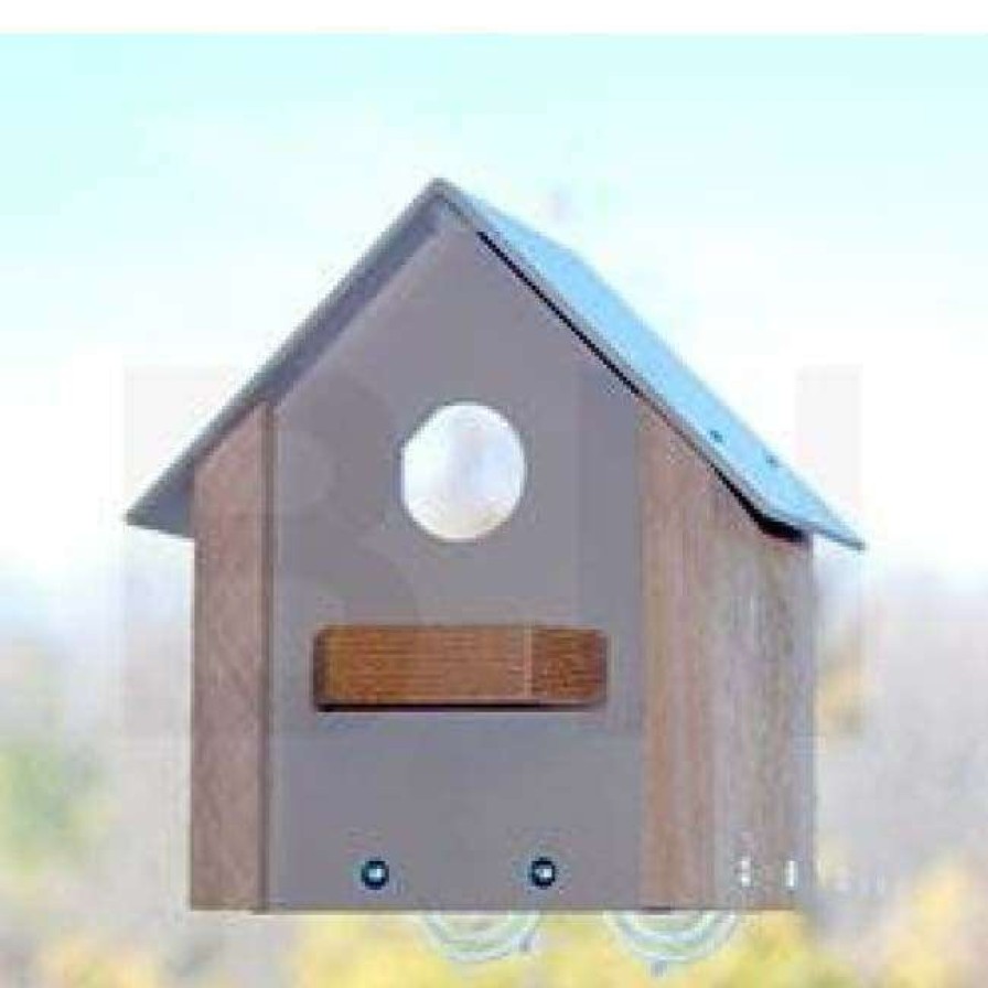 * Looker Products Window Bird House All Bird Houses | Bird Houses