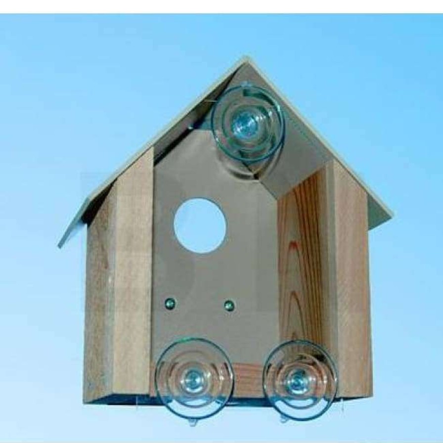 * Looker Products Window Bird House All Bird Houses | Bird Houses