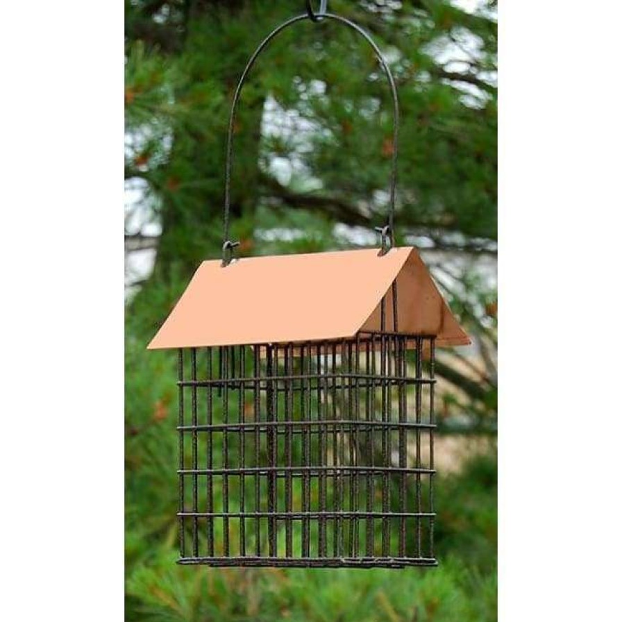 * Woodlink Coppertop Double Suet Cage Feeder Hanging Feeders | Bird Feeders