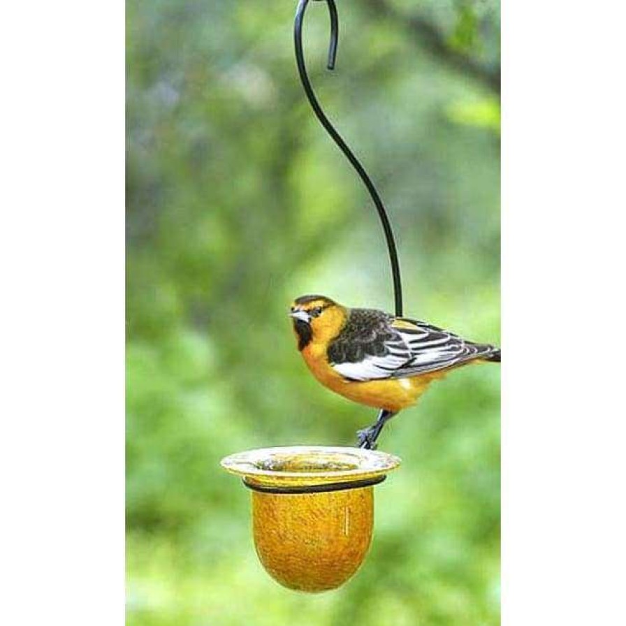 * Parasol Mandarin Recycled Glass Oriole Feeder, Medium Hanging Feeders | Bird Feeders