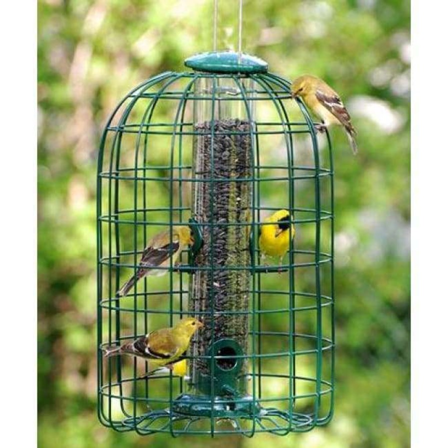 * Woodlink Cage Feeders Audubon Squirrel-Resistant Caged Tube Bird Feeder | Bird Feeders