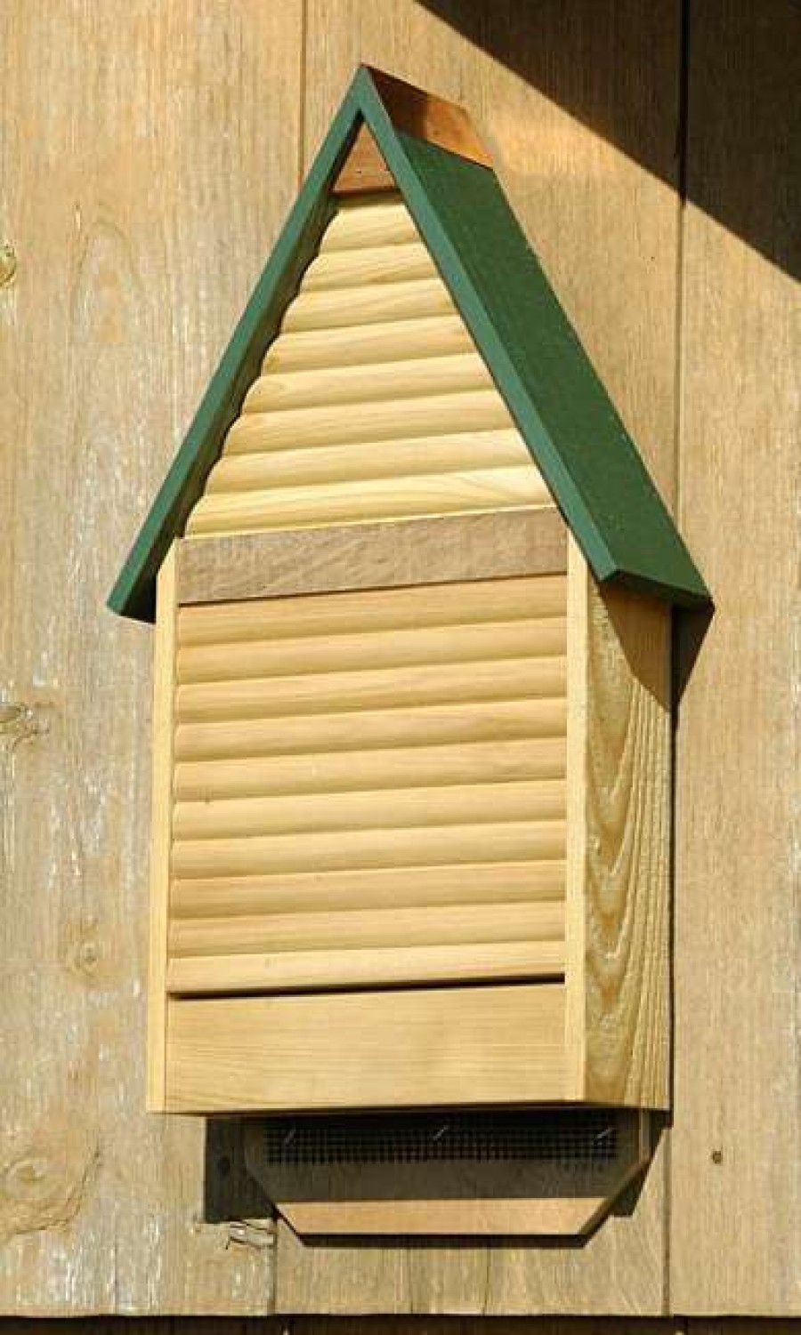 * Heartwood Bat Lodge, Green Roof, 48 Bats | Bats