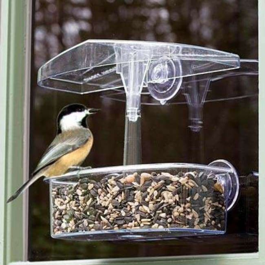 * Droll Yankees Window Feeders Observer Window Bird Feeder | Bird Feeders