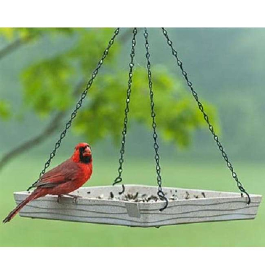 * Woodlink Audubon Plant Fiber-Based Premium Hanging Platform Feeder | Bird Feeders