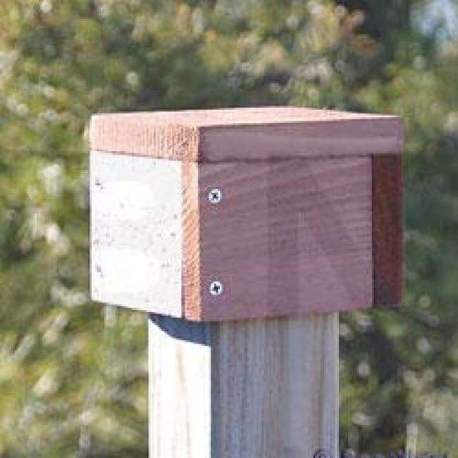 * Looker Products Post Cap Bird House Accessories | Bird Feeders